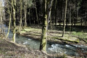 Das sehr ursprüngliche Hafenlohrtal 