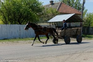 Wir merken, dass wir in ärmere Gegenden kommen. Die Autos sind zwar noch in der Überzahl aber die Anzahl der Pferdewägen nimmt zu...