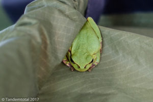 Und bekamen nächtlichen Besuch auf dem Zeltdach