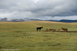 Nach dem Regen sind die umliegenden Berge mit Neuschnee gepudert